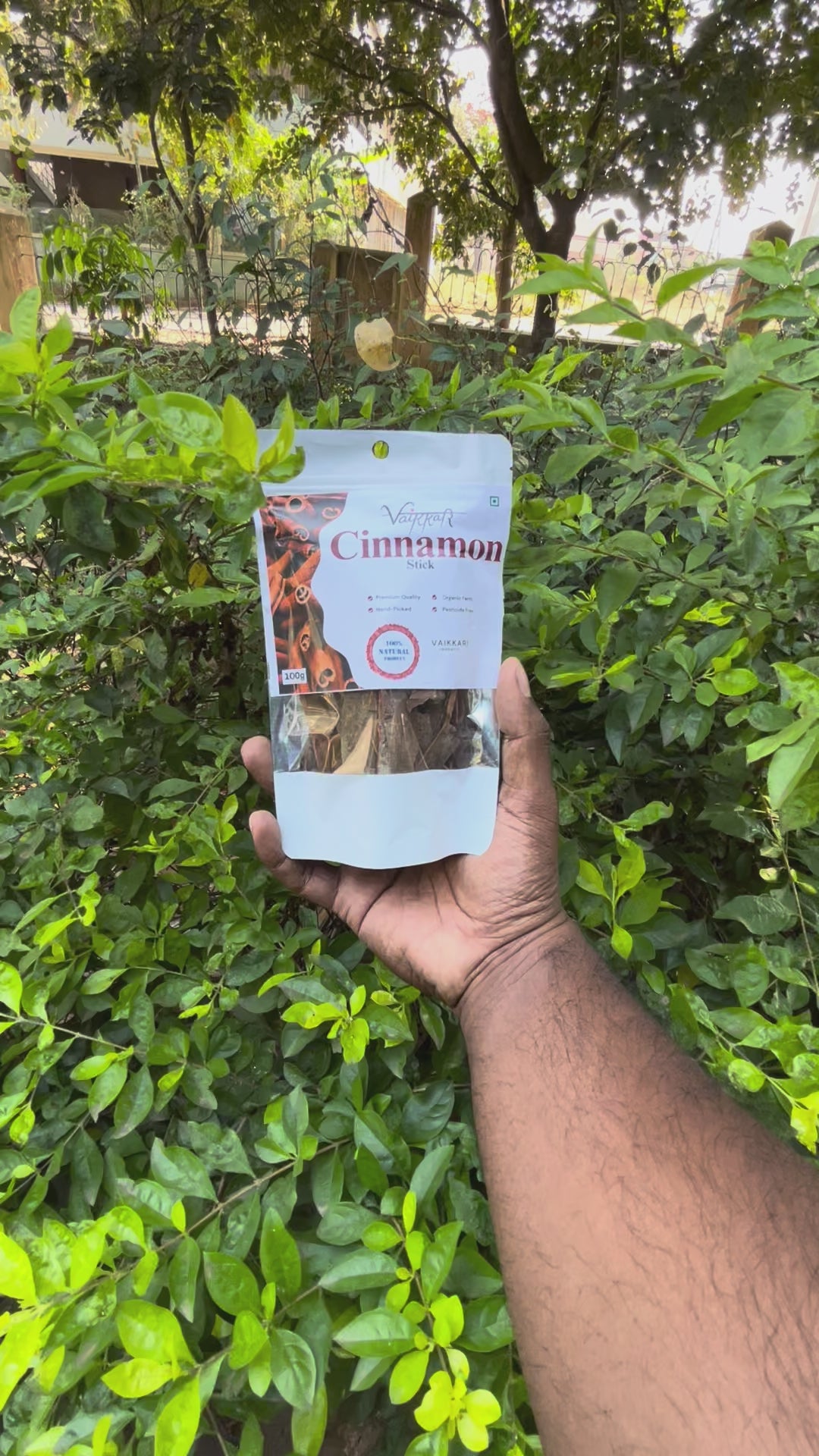 Cinnamon – Naturally Aromatic, Sweet & Full of Warm Flavor