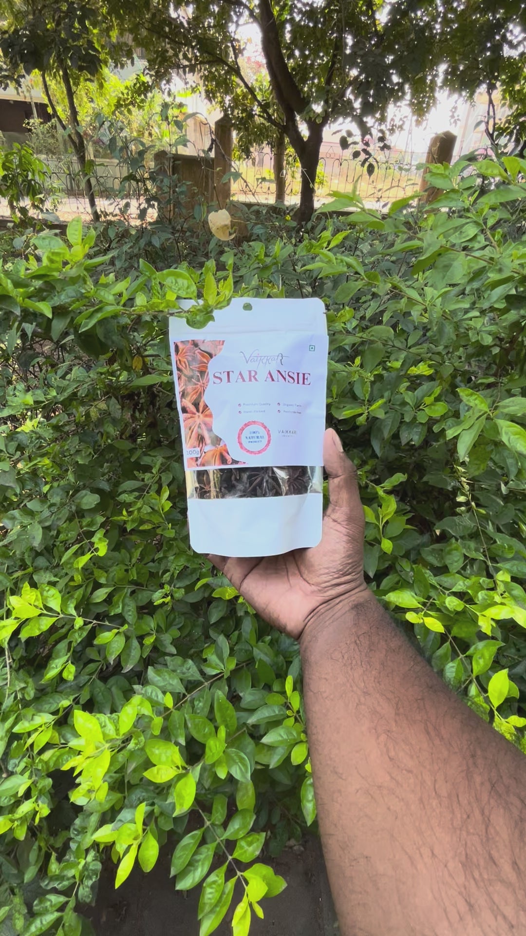 Premium Star Anise – Aromatic, Pure & Traditionally Handled