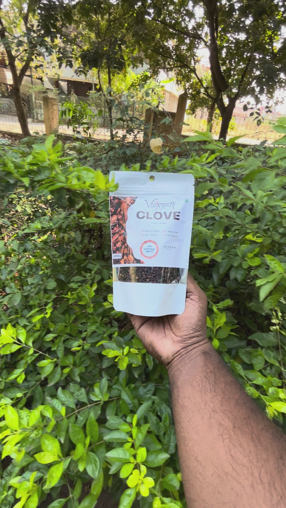 Premium Cloves – Aromatic, Oil-Rich & Traditionally Grown